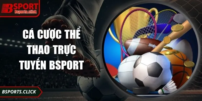 Cá Cược Thể Thao Trực Tuyến Bsport Trải Nghiệm An Toàn
